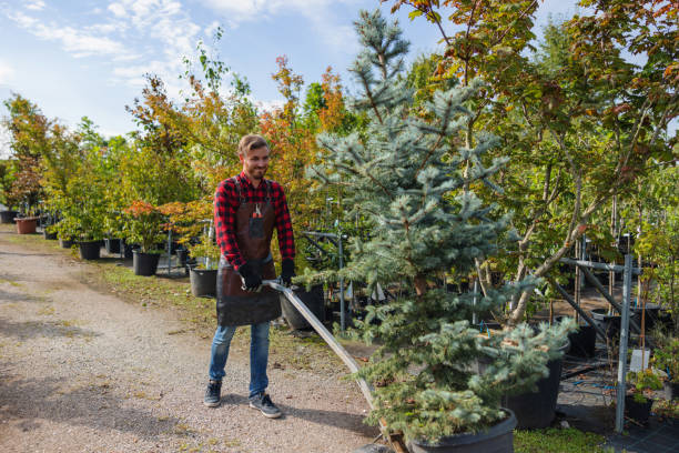 Best Leaf Removal  in Mahopac, NY